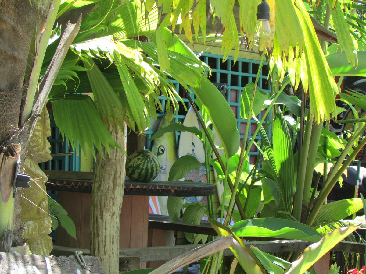 Coconut Hostel Bocas Town Bocas del Toro Exterior foto