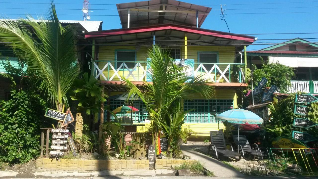 Coconut Hostel Bocas Town Bocas del Toro Exterior foto