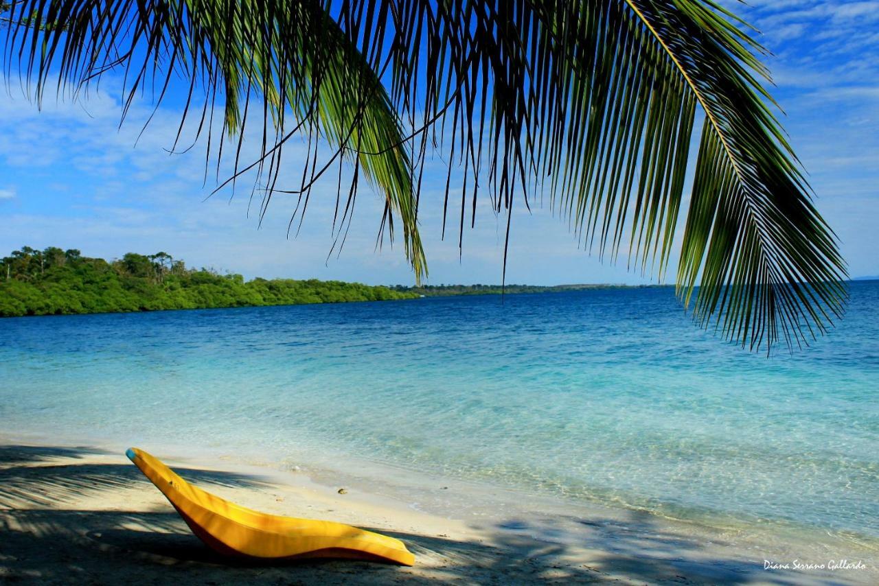 Coconut Hostel Bocas Town Bocas del Toro Exterior foto