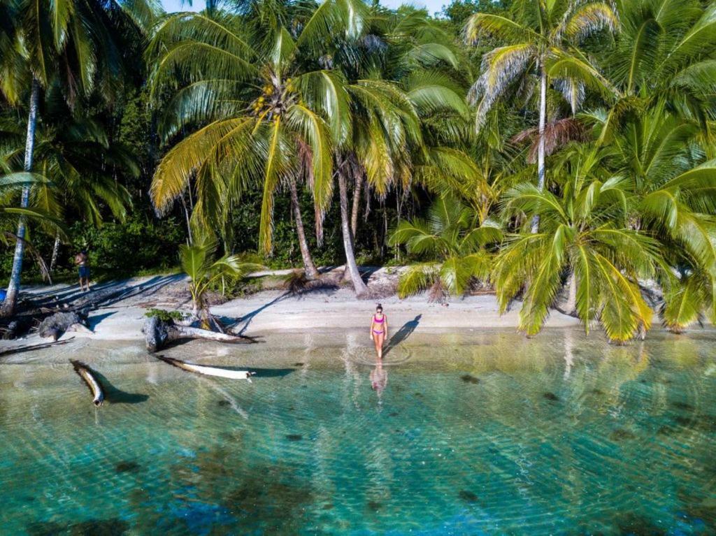 Coconut Hostel Bocas Town Bocas del Toro Exterior foto